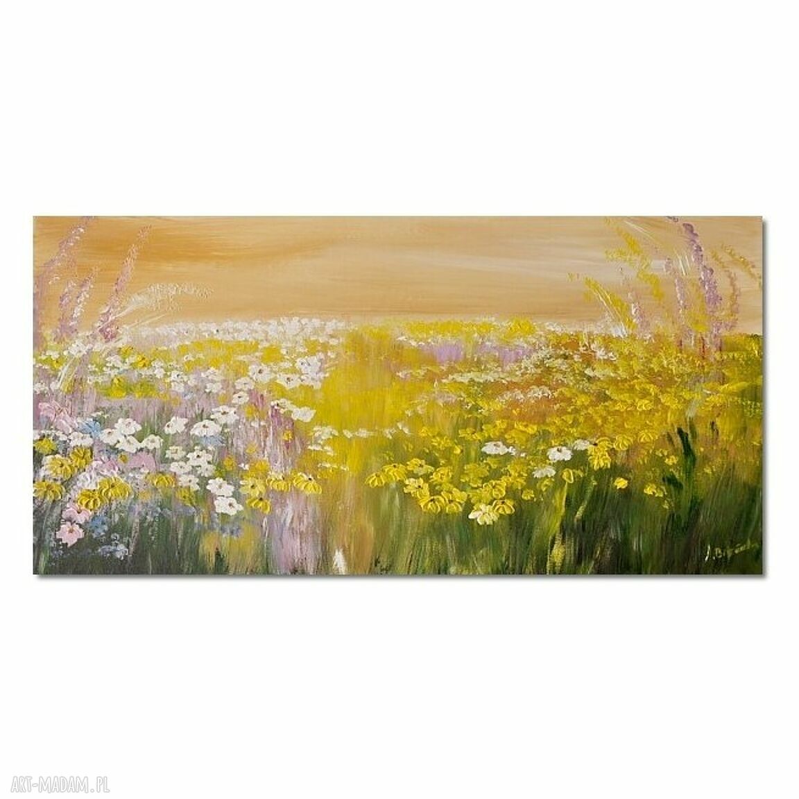 Łąka - obraz ręcznie malowany na płótnie 100x50 cm