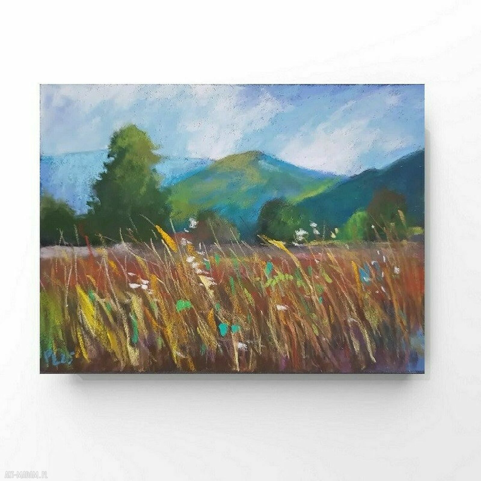 ŁĄKA - obraz pastelami suchymi 18x24 cm