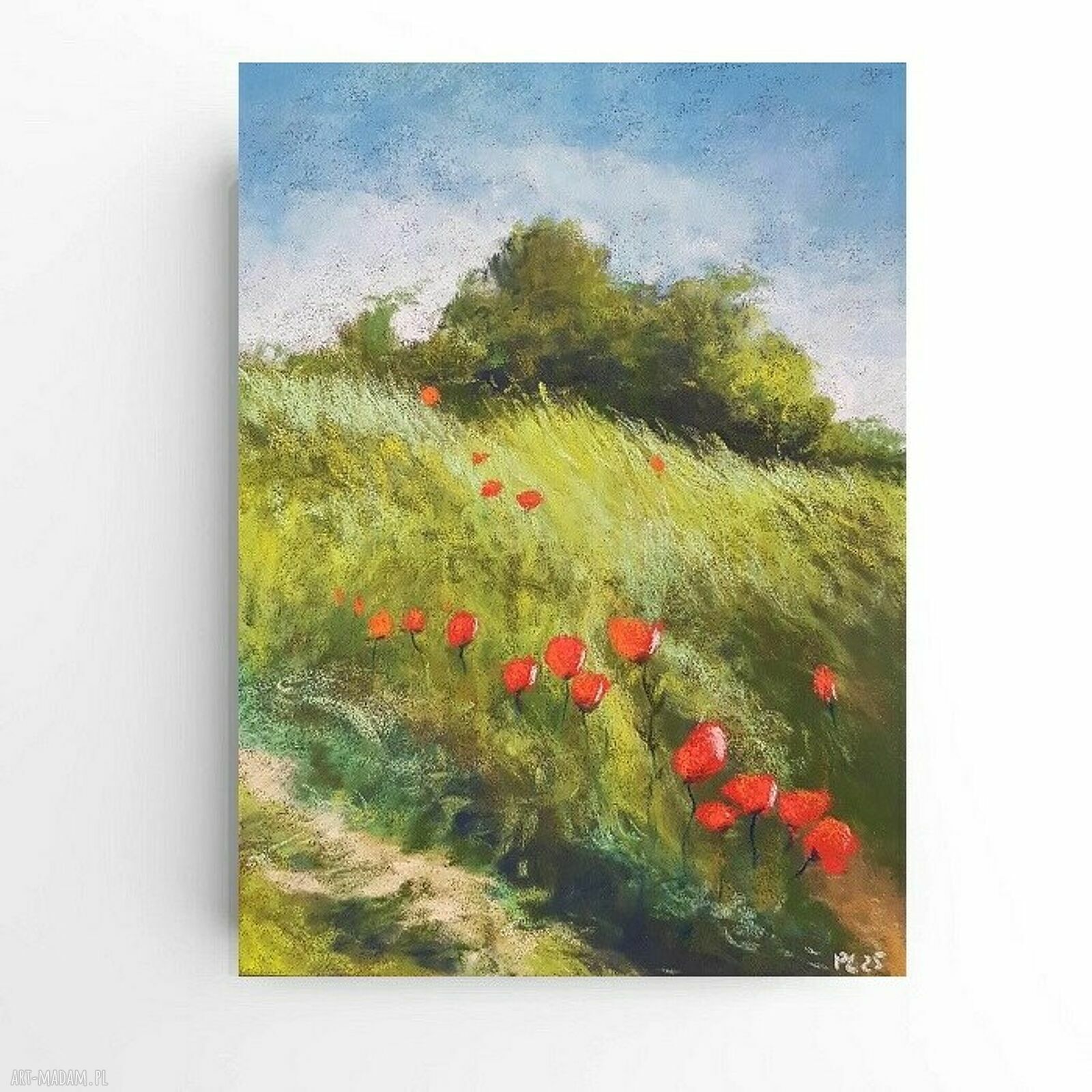 Łąka - ręcznie wykonany obraz z suchych pasteli 24/18 cm