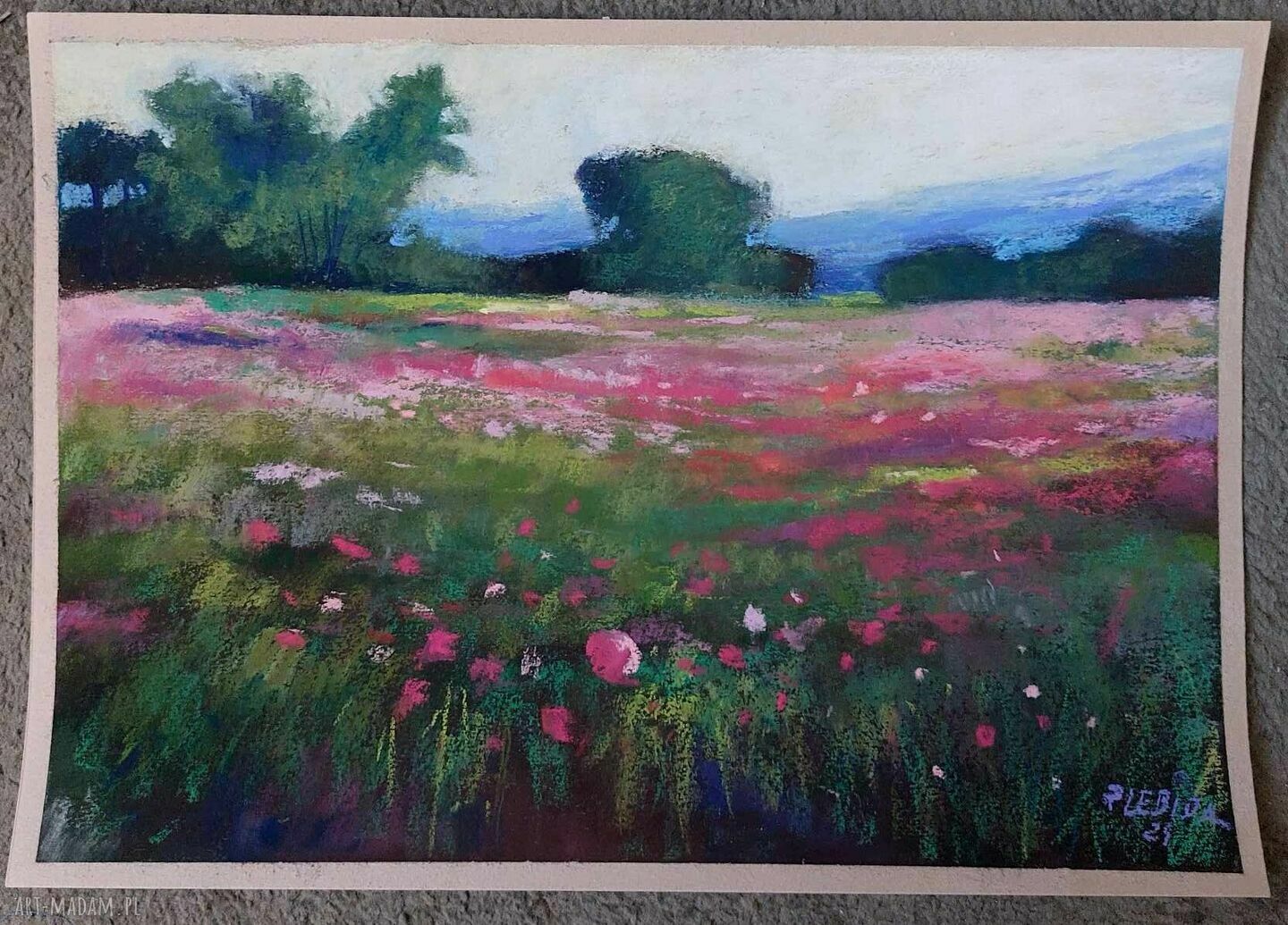 Łąka - rysunek pastelami suchymi A3