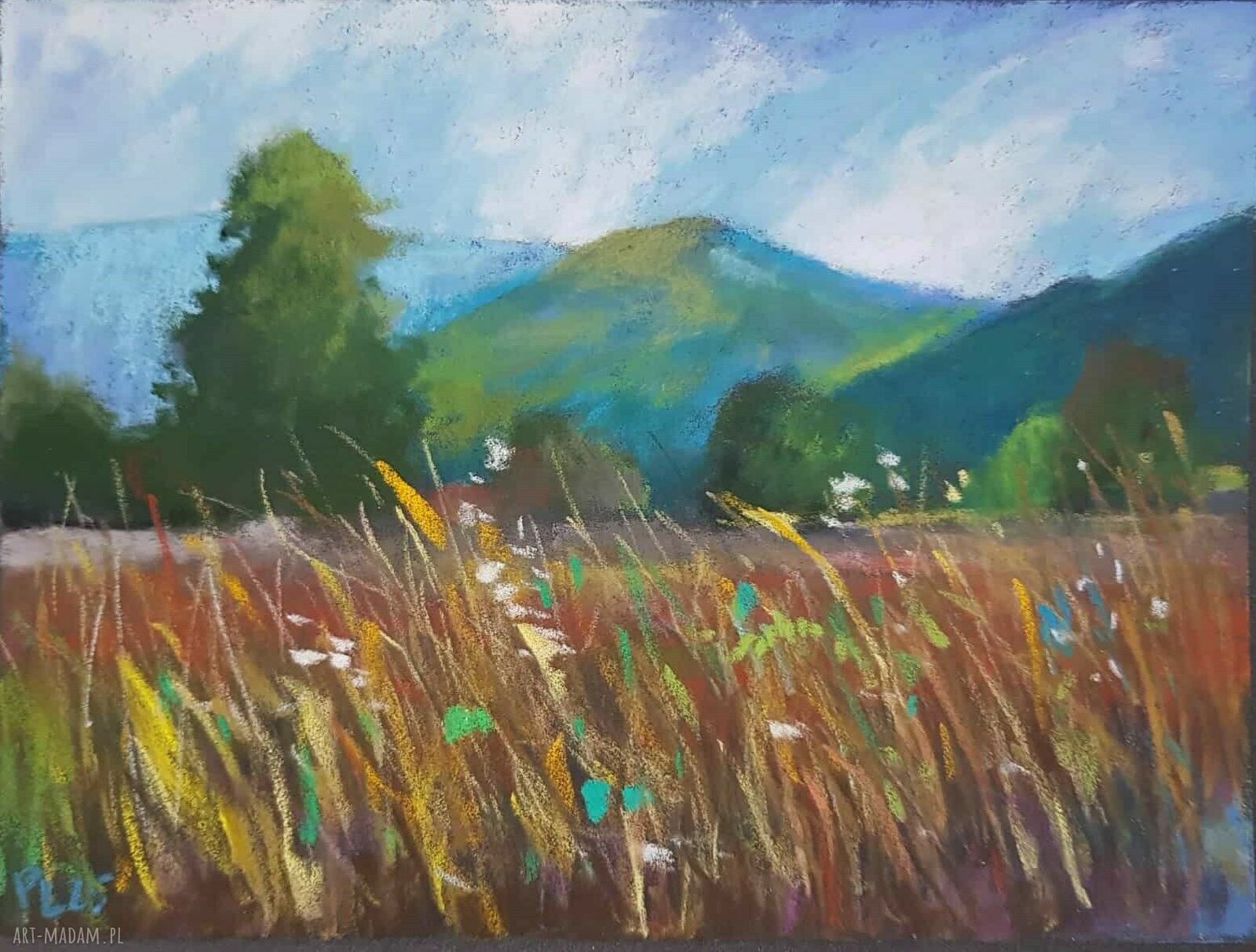 ŁĄKA - obraz pastelami suchymi 18x24 cm