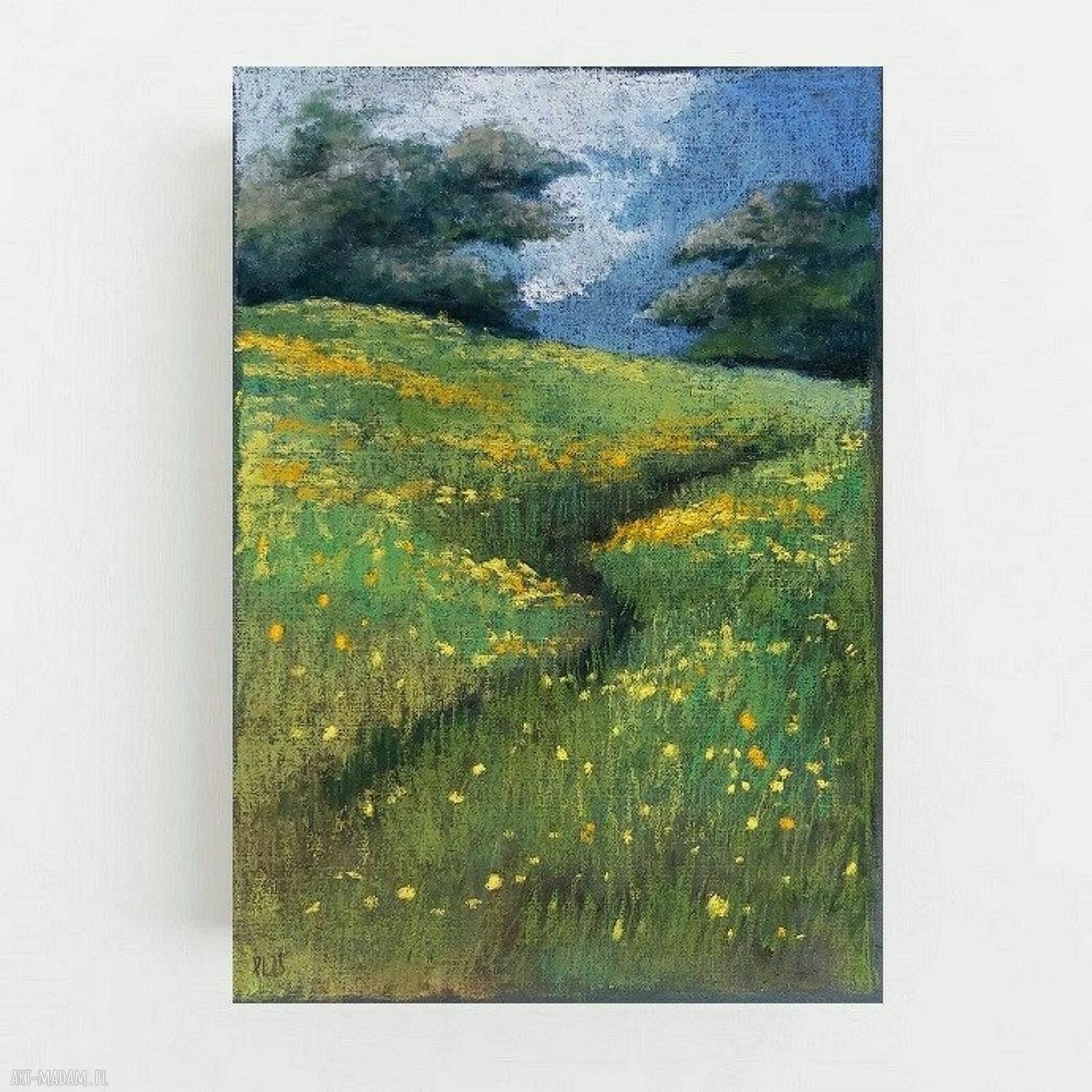 Łąka - praca pastelami suchymi A4, Paulina Lebida
