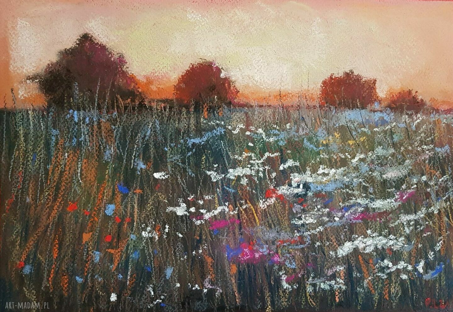 Łąka z kwiatami - obraz z pasteli suchych (32,5 x 22,5 cm)