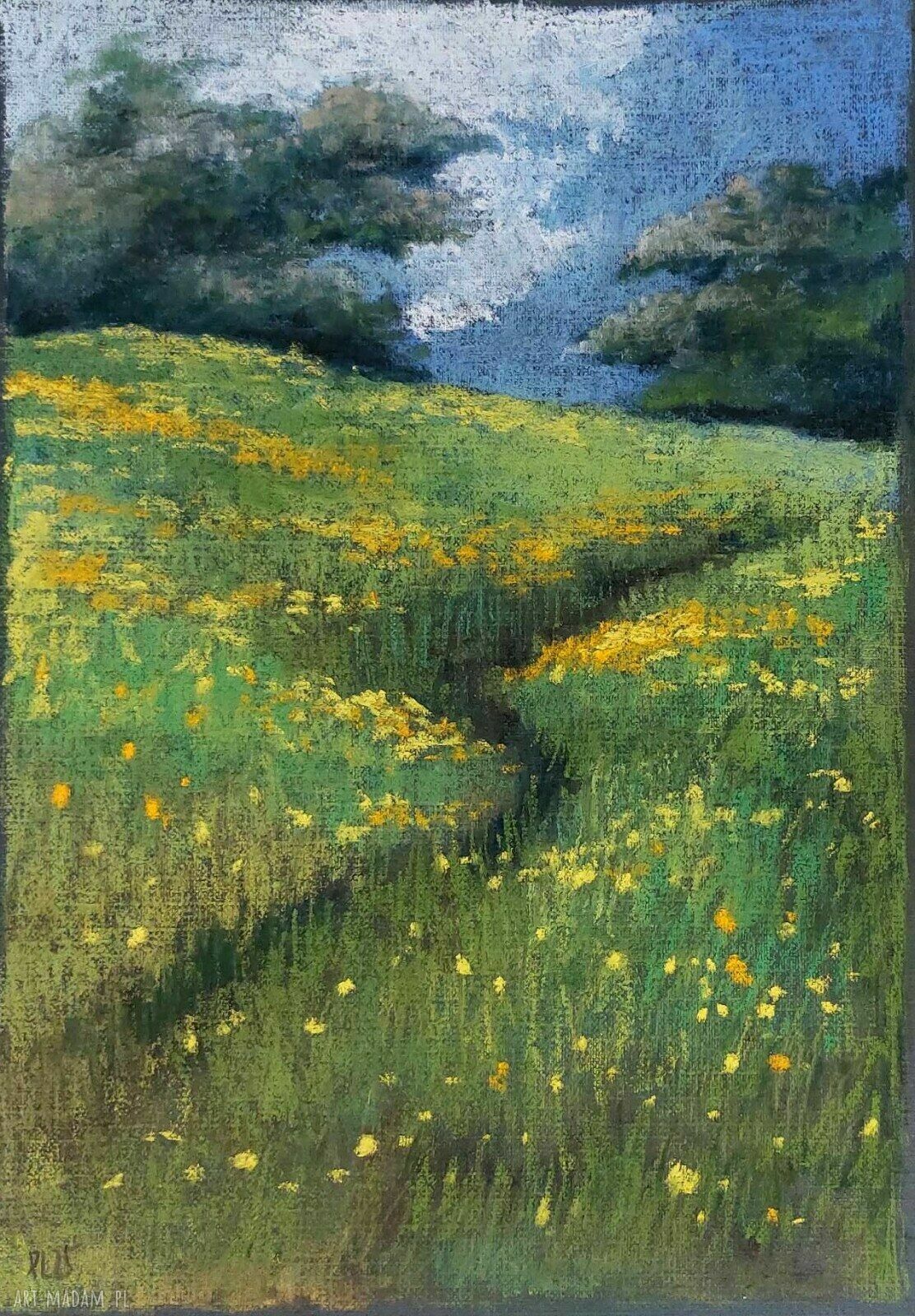 Łąka - praca pastelami suchymi A4, Paulina Lebida