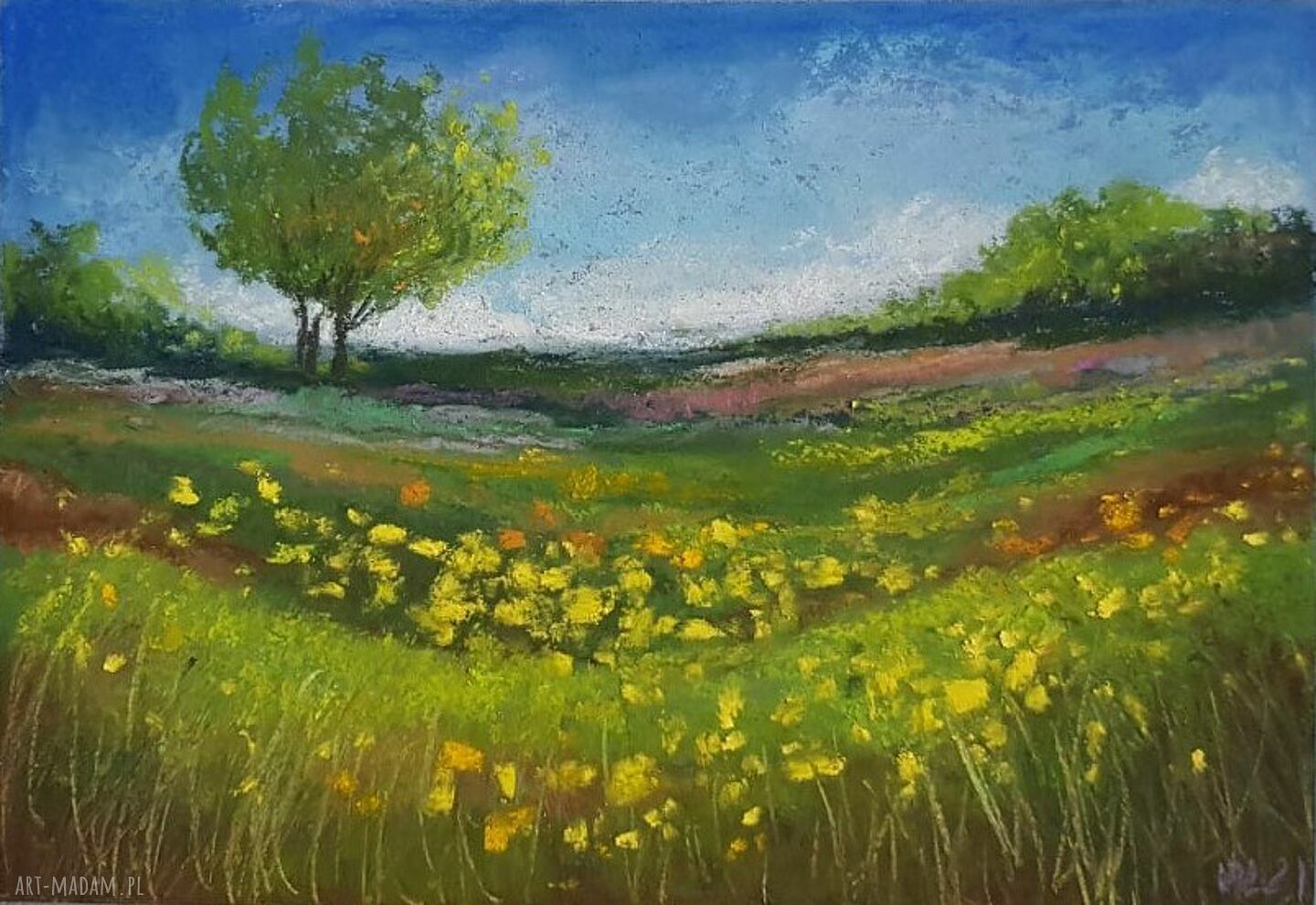 ŁĄKA - obraz wykonany pastelami suchymi A5