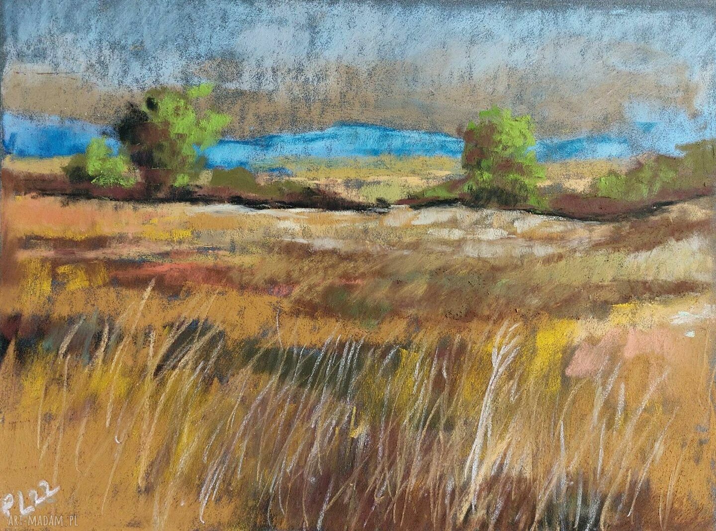 Łąka - rysunek pastelami suchymi na papierze Pastelmat 24 x 18 cm