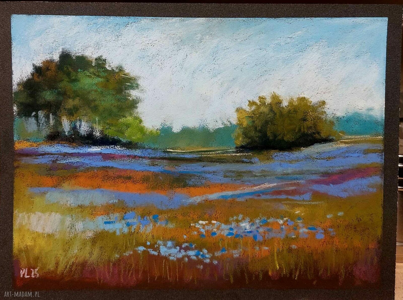 ŁĄKA - pastelowy rysunek suchymi pastelami, format 18/24 cm