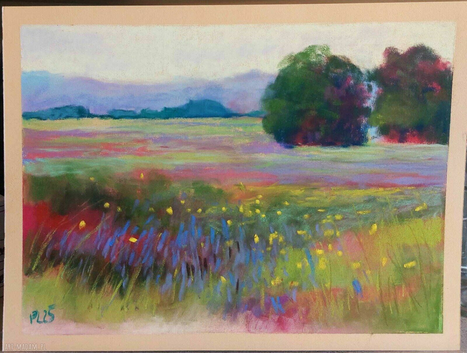 Obraz „Łąka” w pastelach suchych 18x24 cm