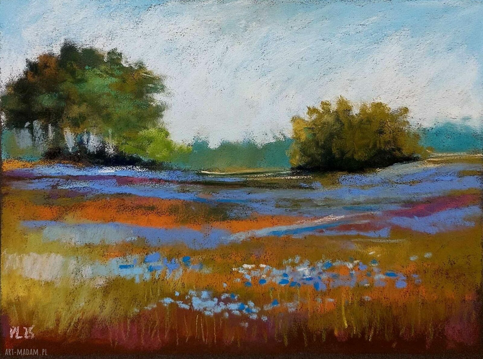 ŁĄKA - pastelowy rysunek suchymi pastelami, format 18/24 cm
