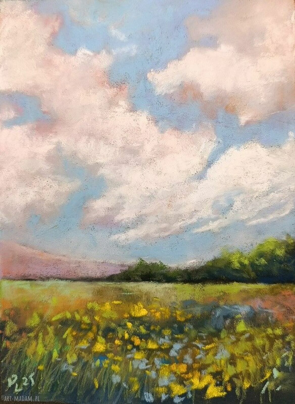 Łąka - obraz z pasteli suchych 24x18 cm, pejzaż Paulina Lebida