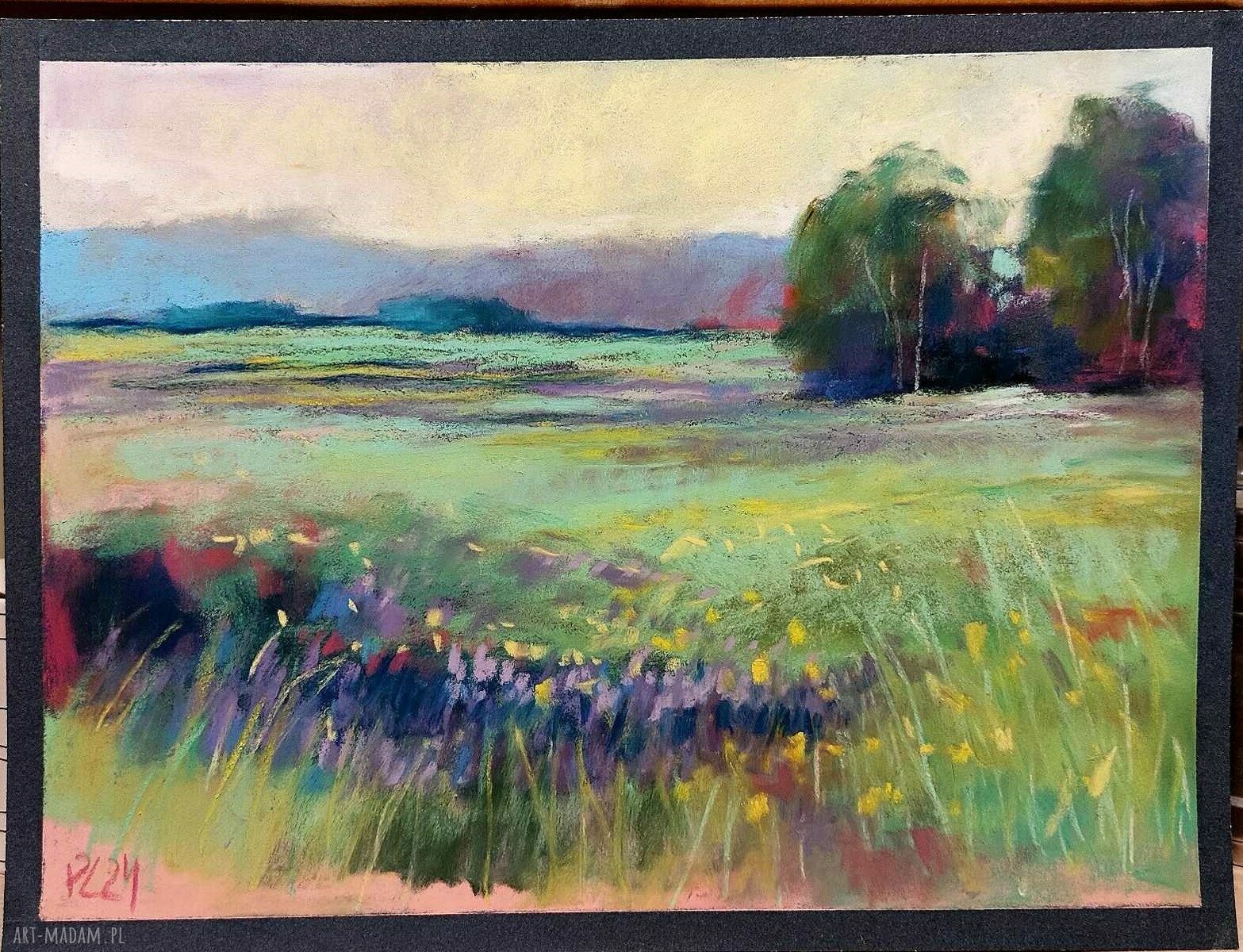 Łąka - obraz pastelami suchymi 24x18 cm
