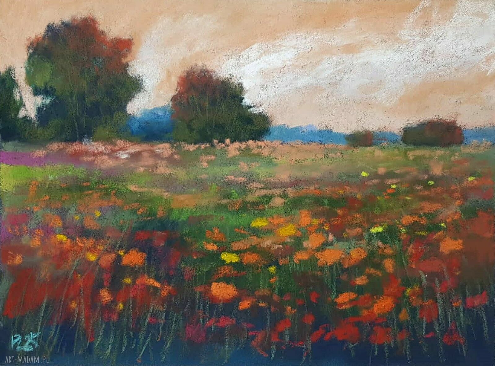 Łąka - rysunek pastelami suchymi 18x24 cm
