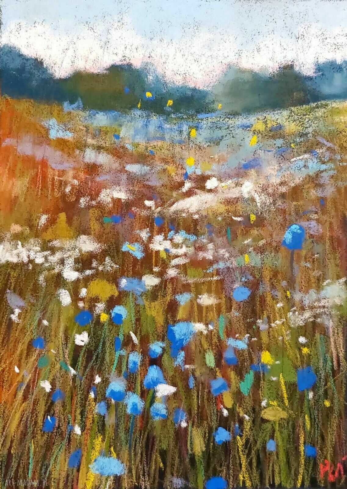 ŁĄKA - rysunek pastelami suchymi (24 x 18 cm)