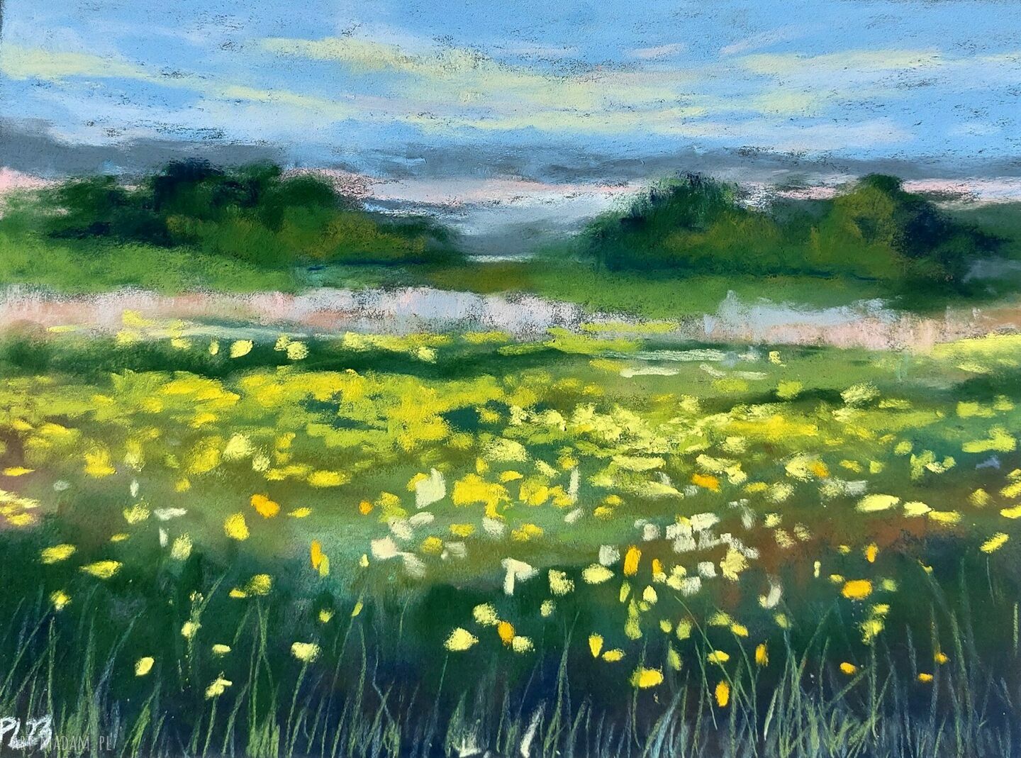 Rysunek pastelami suchymi - Łąka 24x18 cm