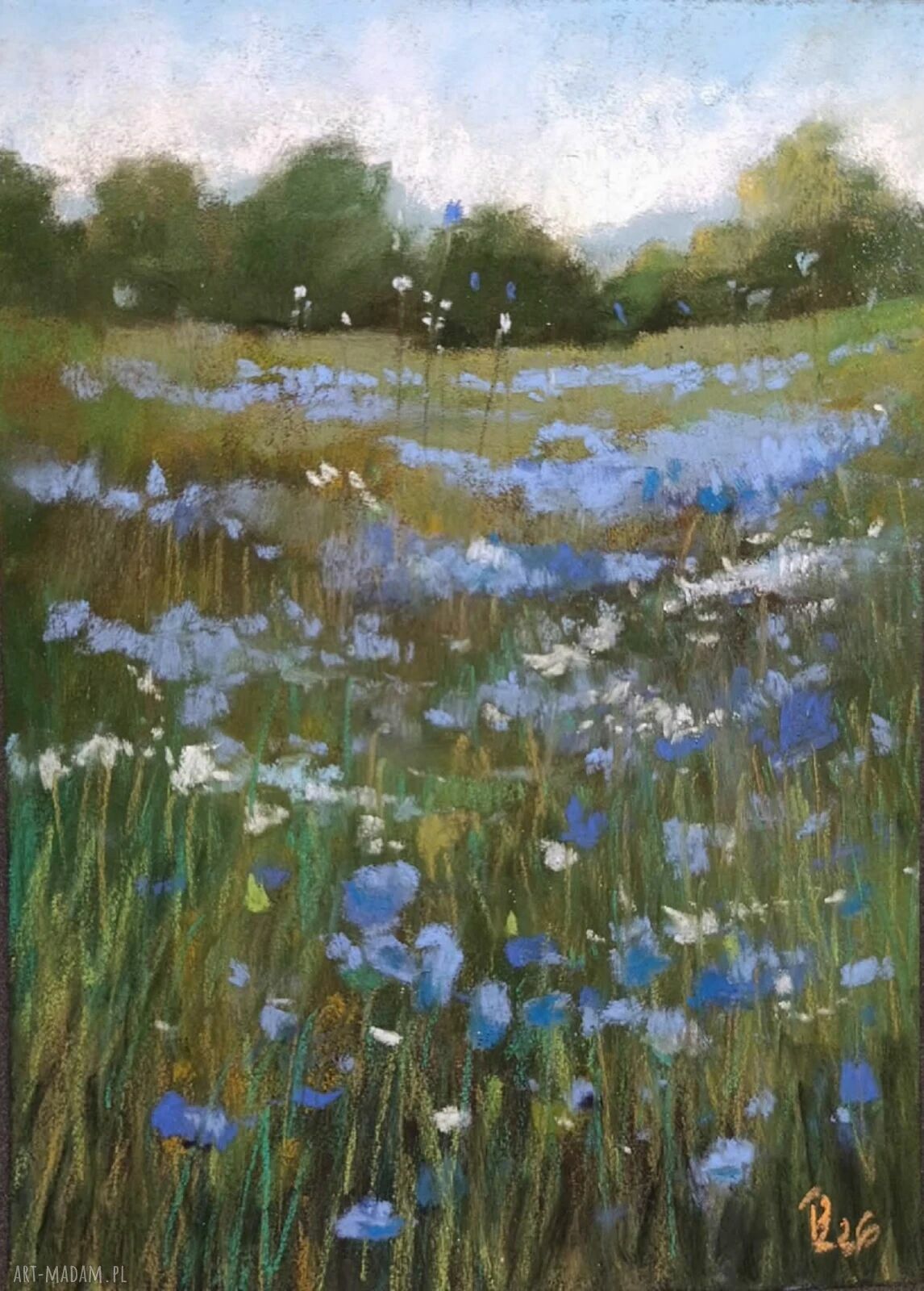 Łąka - oryginalny rysunek pastelami 24 x 18 cm