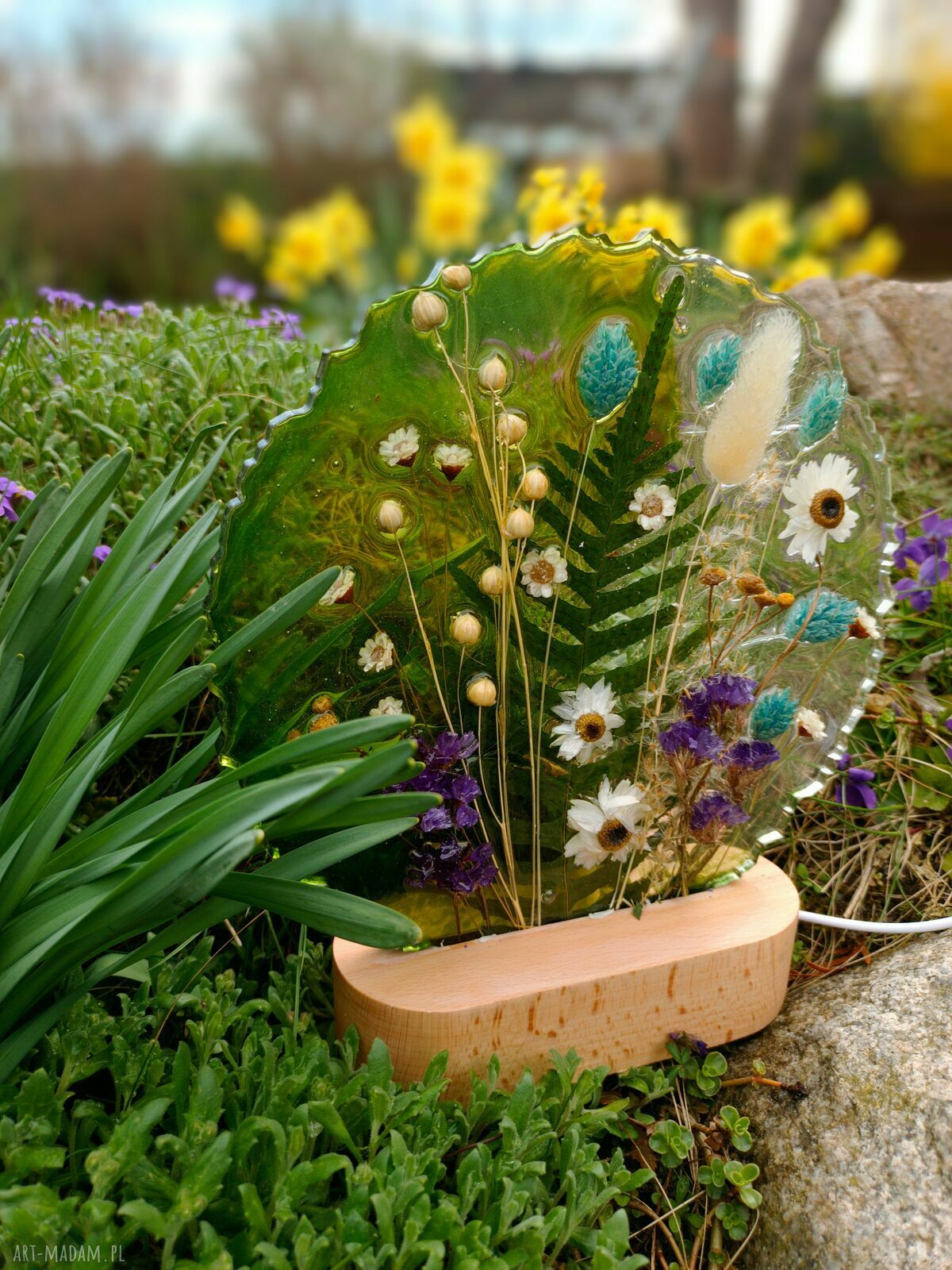 Lampka botaniczna z naturalnymi kwiatami LED - zasilanie USB