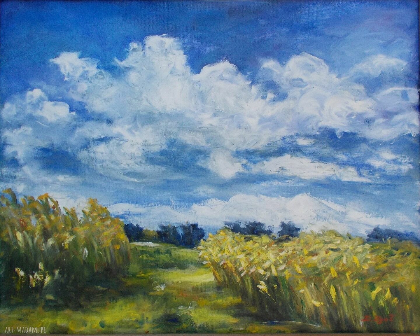 Lato - obraz olejny zboże na polach 50x40 cm, ręcznie malowany