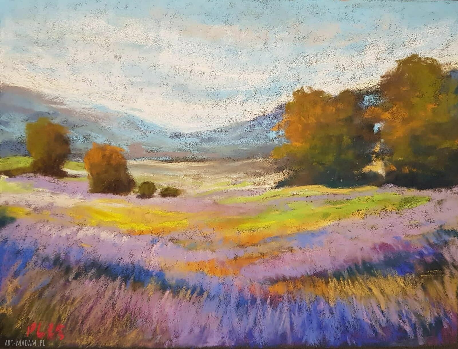 Lawendowe pole - obraz z lawendą 18x24 cm w technice suchych pasteli