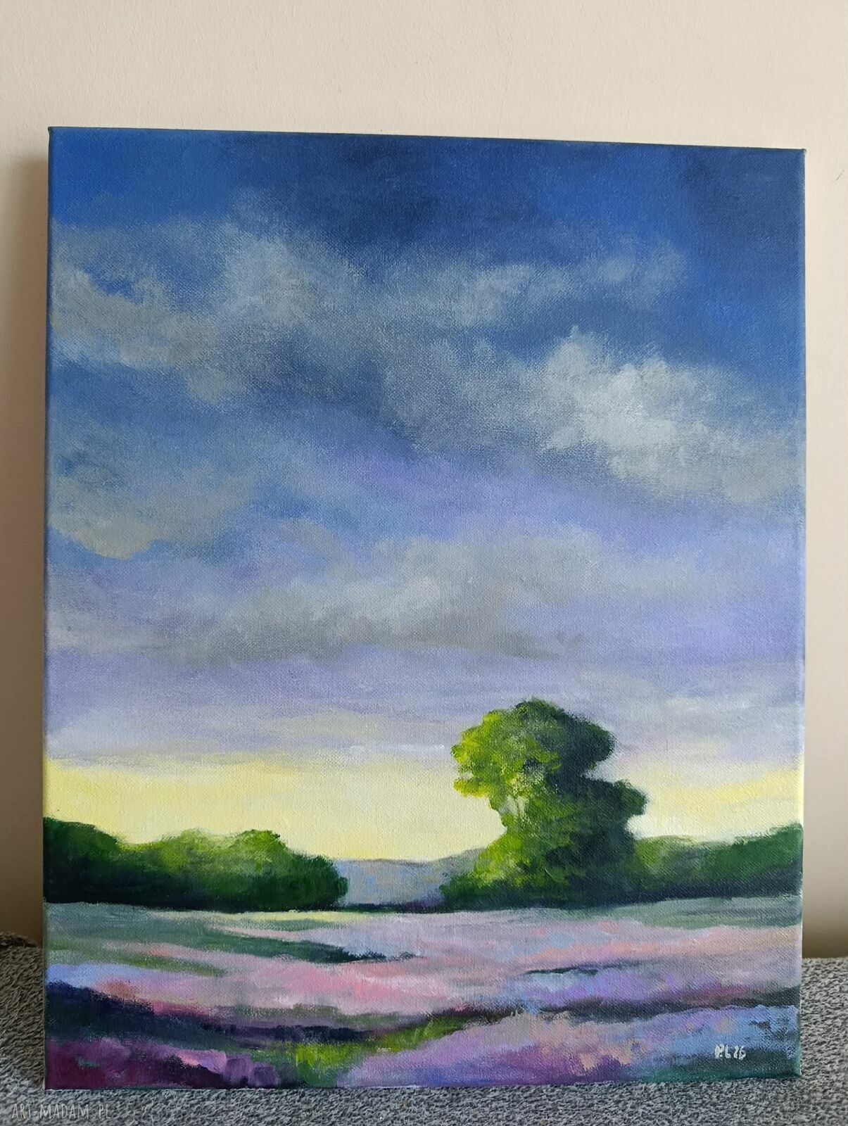 Lawendowy Poranek - obraz akrylowy 50x40 cm pejzaż