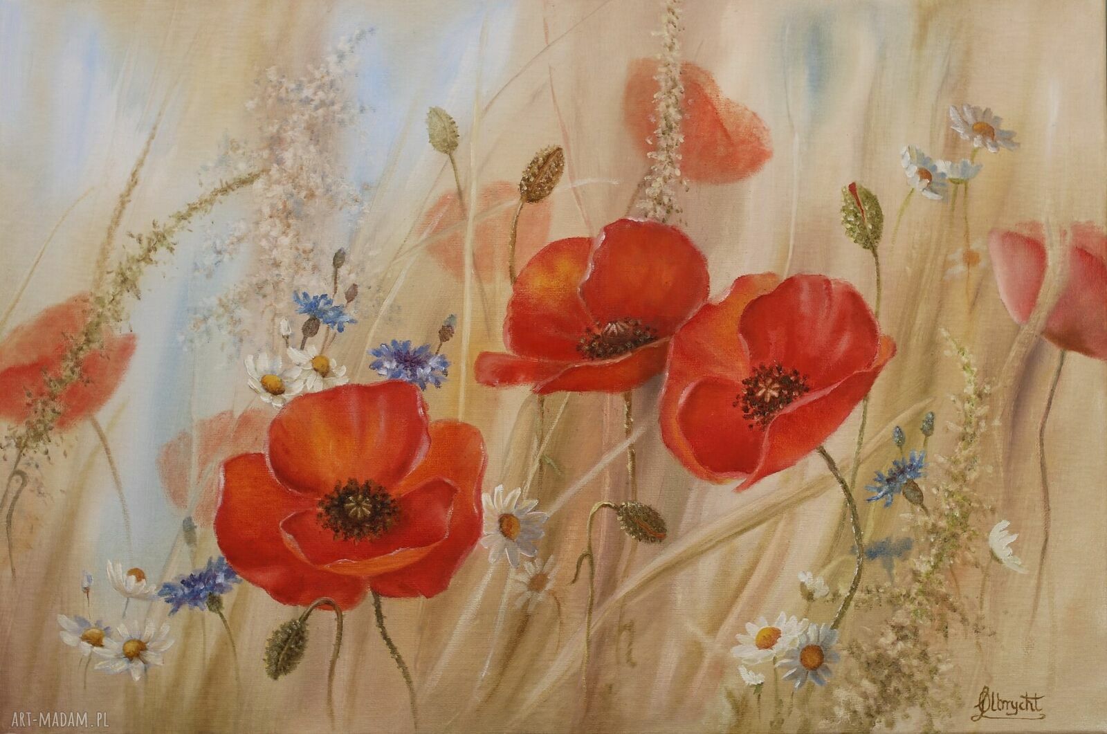 Letni Zapach - poziomy obraz olejny z makami 40 x 60 cm
