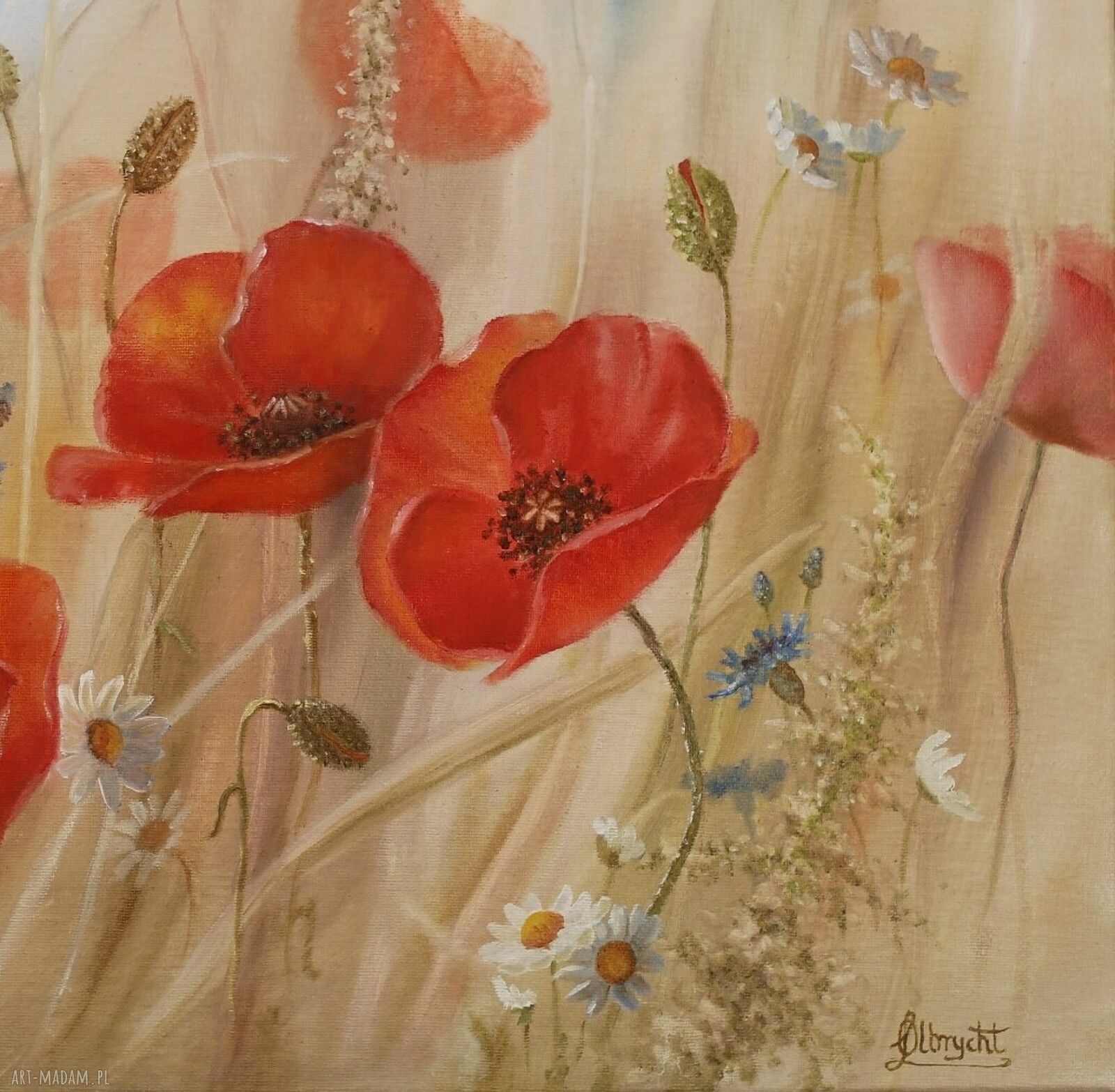 Letni Zapach - poziomy obraz olejny z makami 40 x 60 cm