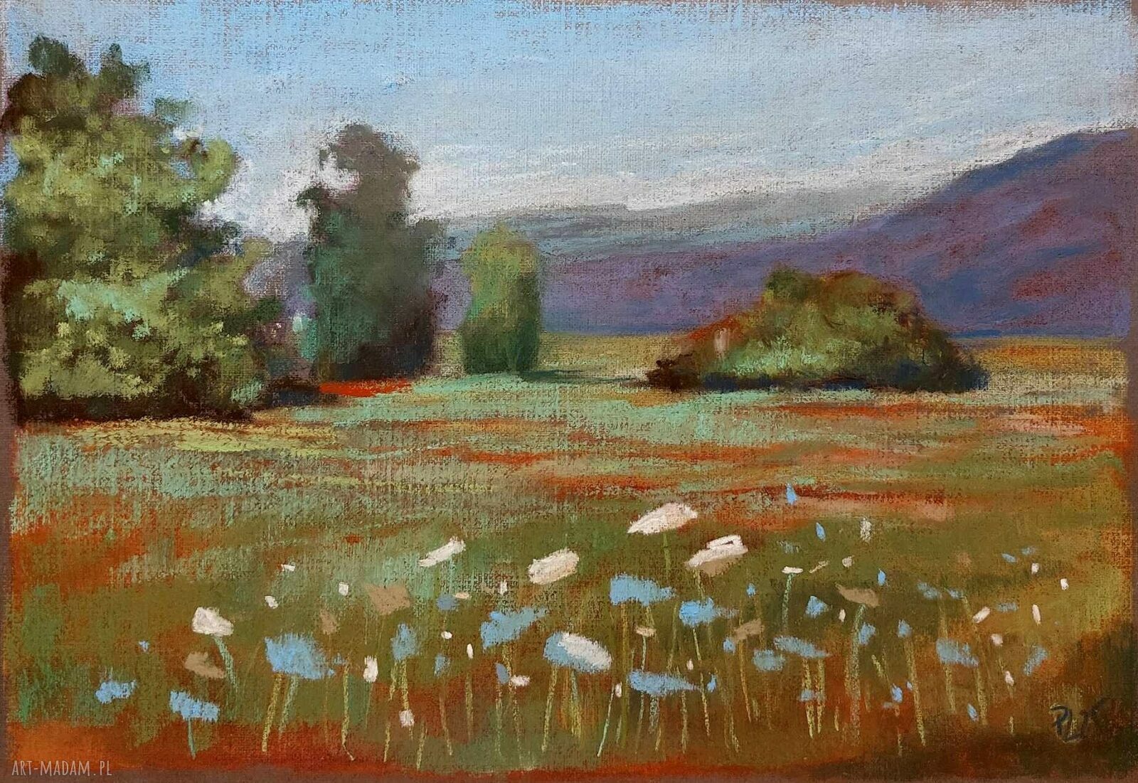 Letnia Łąka - obraz pastelami suchymi A4 (bez oprawy)