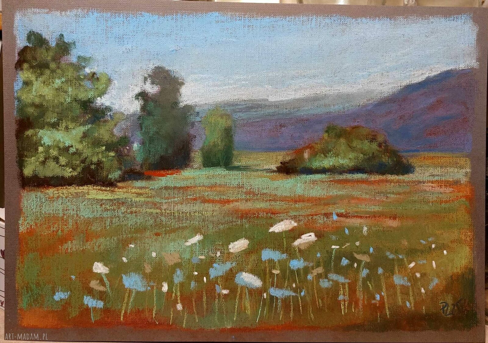 Letnia Łąka - obraz pastelami suchymi A4 (bez oprawy)