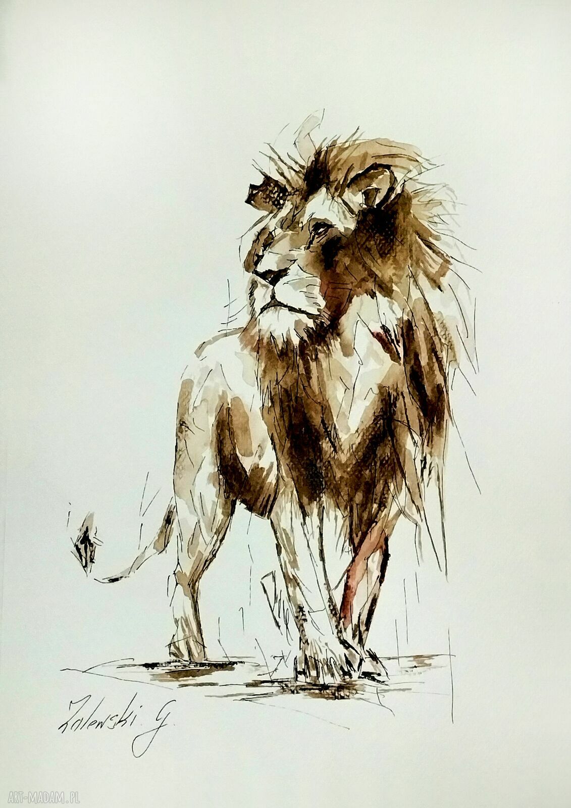 Lew - oryginalny obraz akwarelowy A4