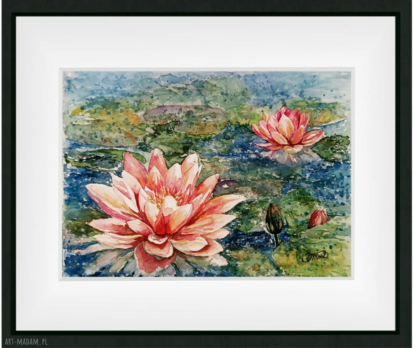 Lilie wodne - Akwarela 24 x 32 cm (oryginał)