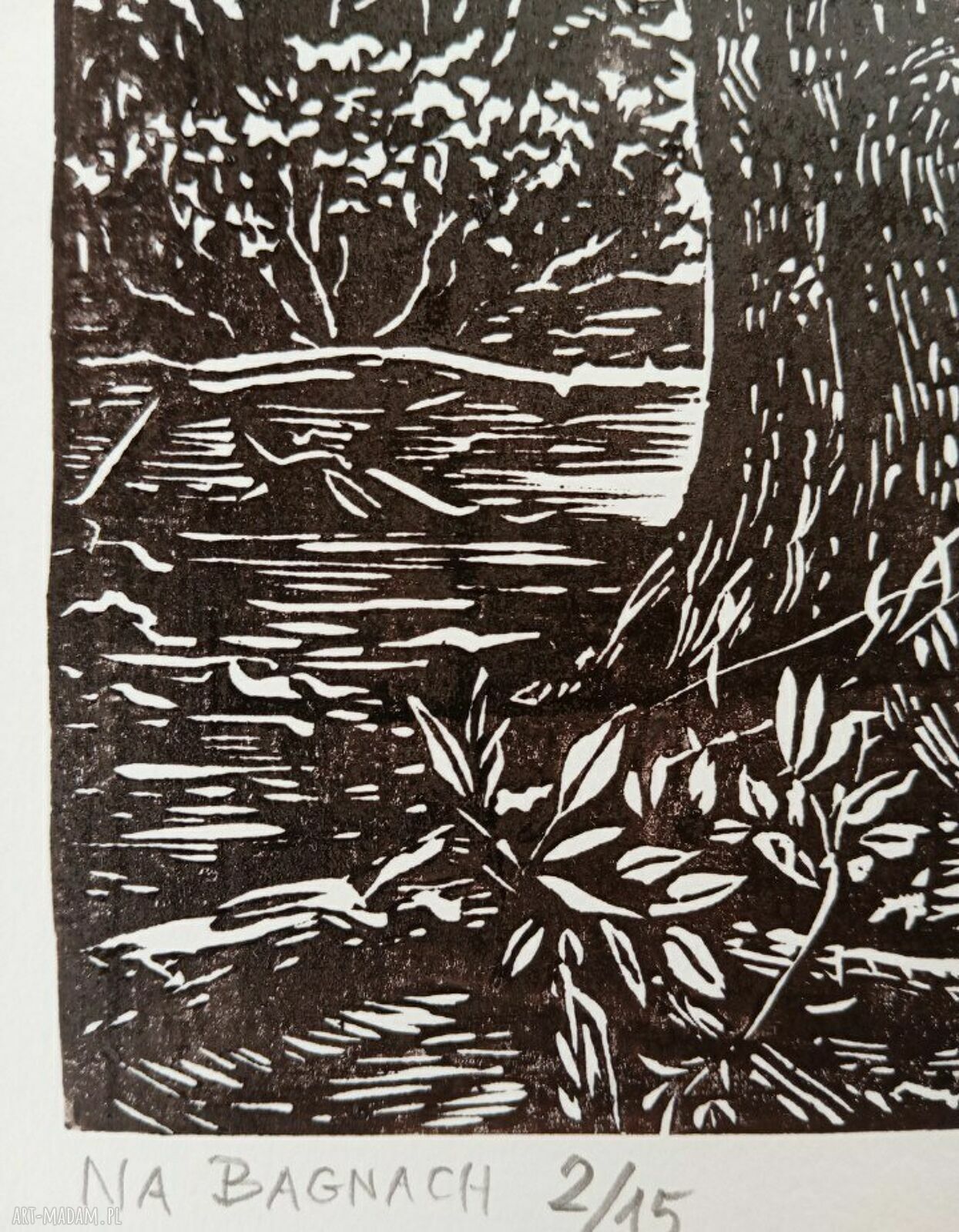 Linoryt „Na bagnach” - ręcznie odbijana czarno-biała grafika (15 szt. limitowane)