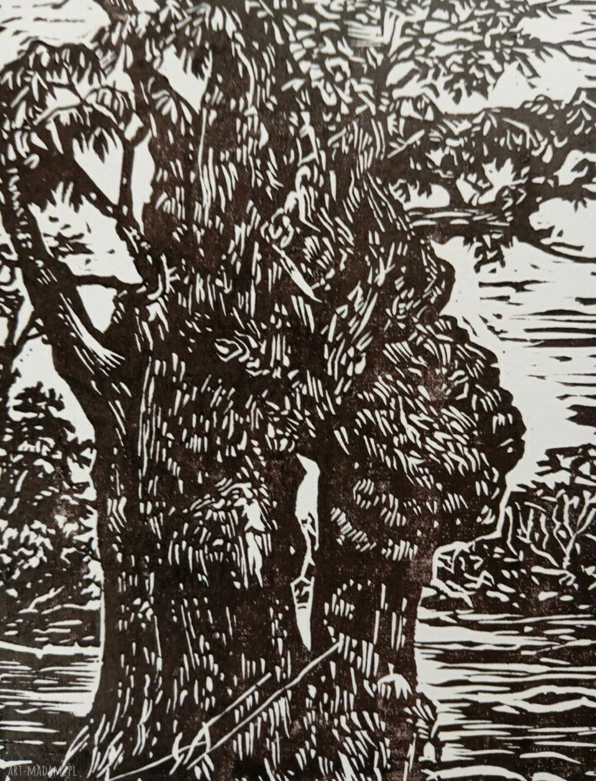 Linoryt „Na bagnach” - ręcznie odbijana czarno-biała grafika (15 szt. limitowane)