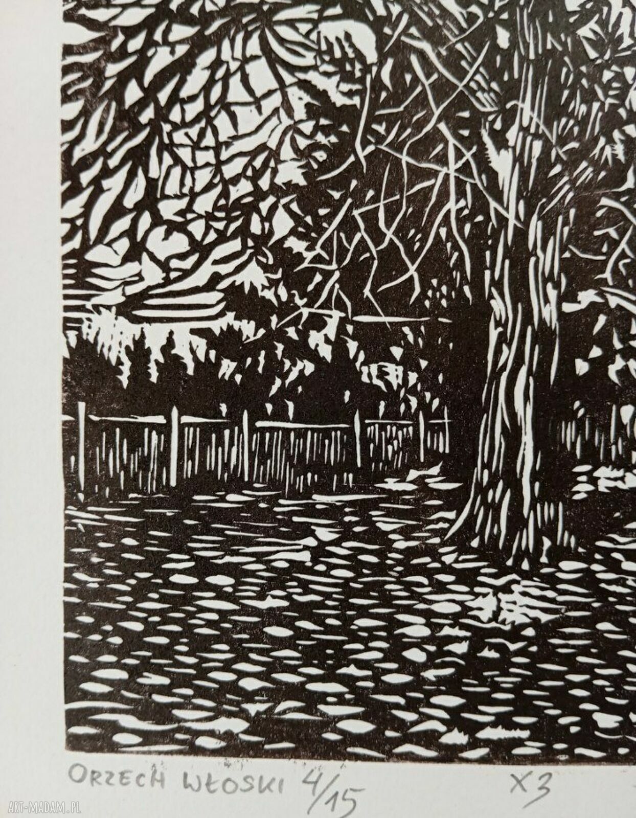 Linoryt „Orzech włoski” - grafika ręcznie robiona z cyklu Drzewa