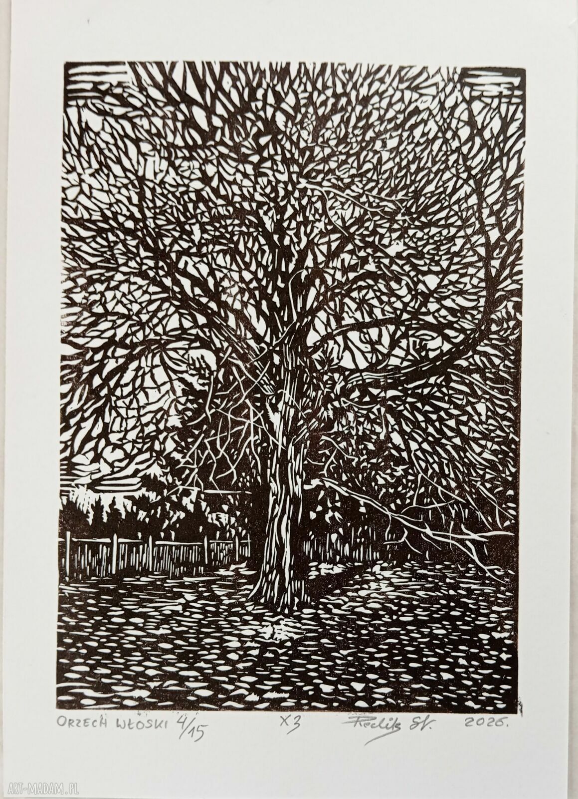 Linoryt „Orzech włoski” - grafika ręcznie robiona z cyklu Drzewa