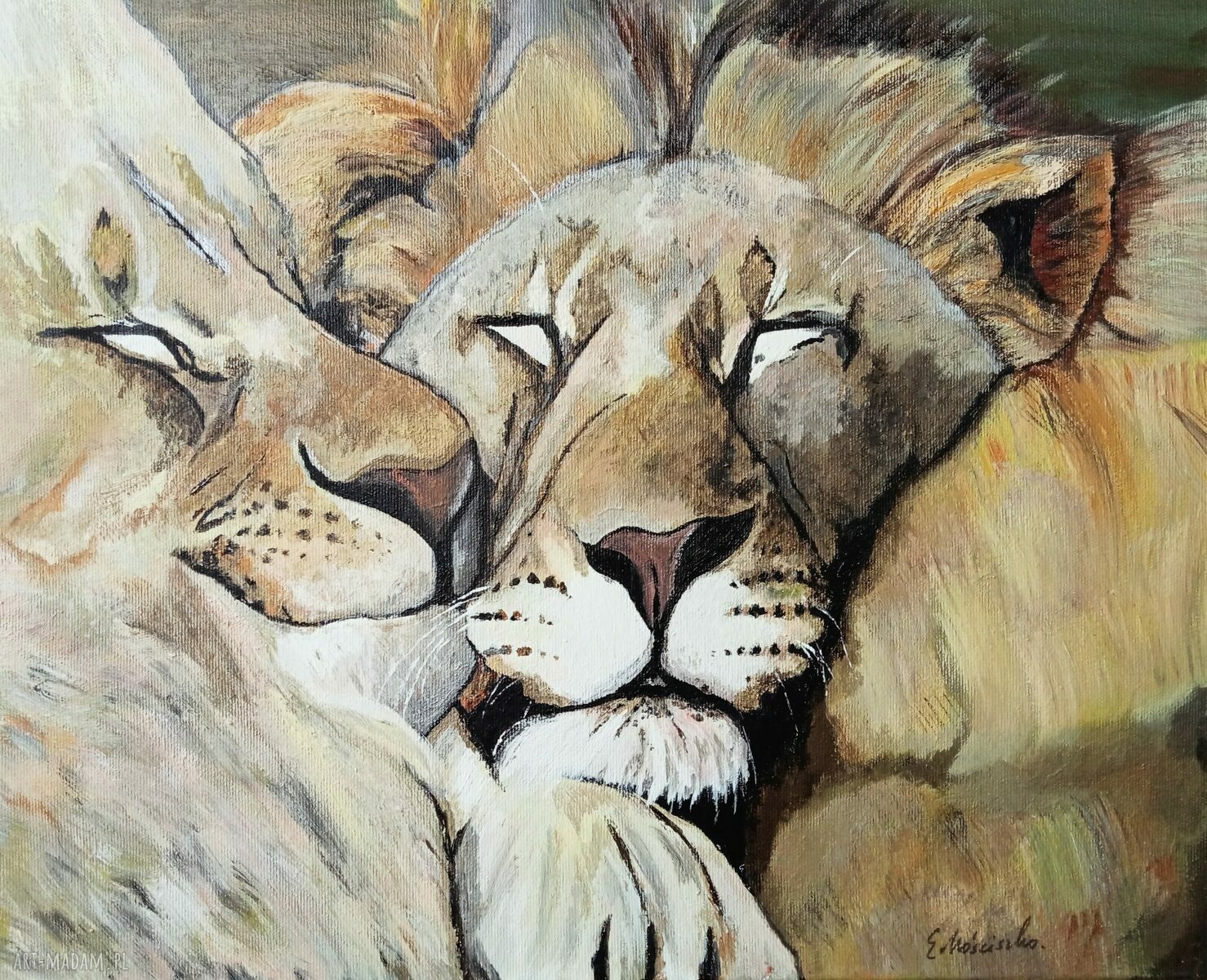 Walentynkowy obraz Love z lwami - akryl na płótnie 50x40x2 cm, sygnowany i gotowy do zawieszenia