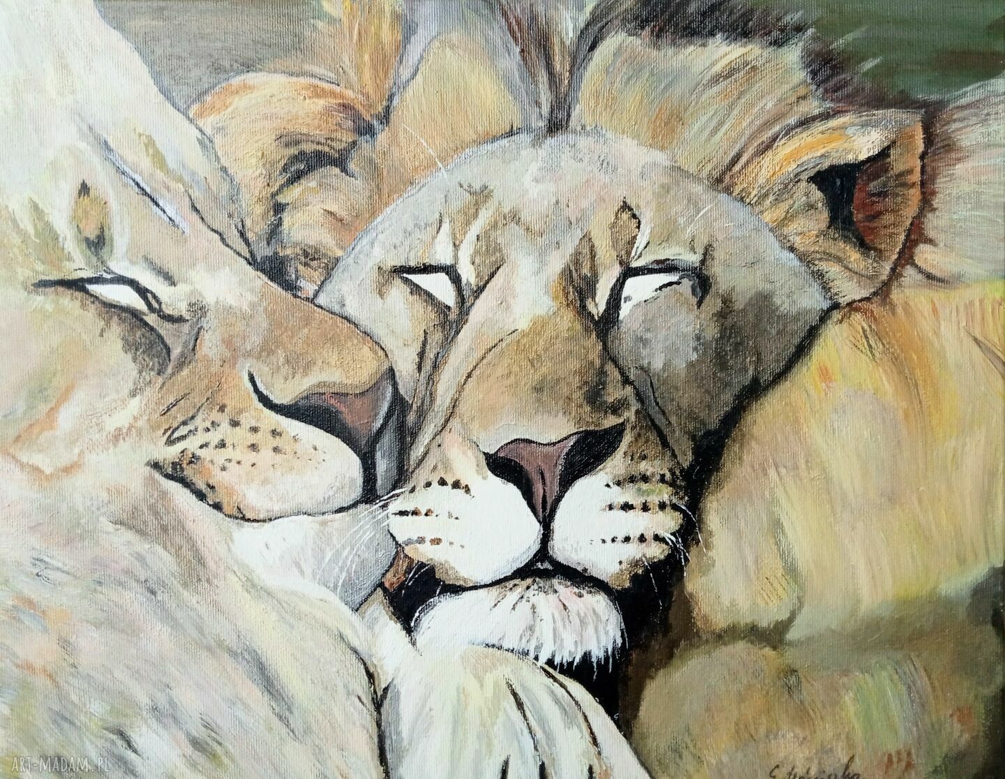 Walentynkowy obraz Love z lwami - akryl na płótnie 50x40x2 cm, sygnowany i gotowy do zawieszenia