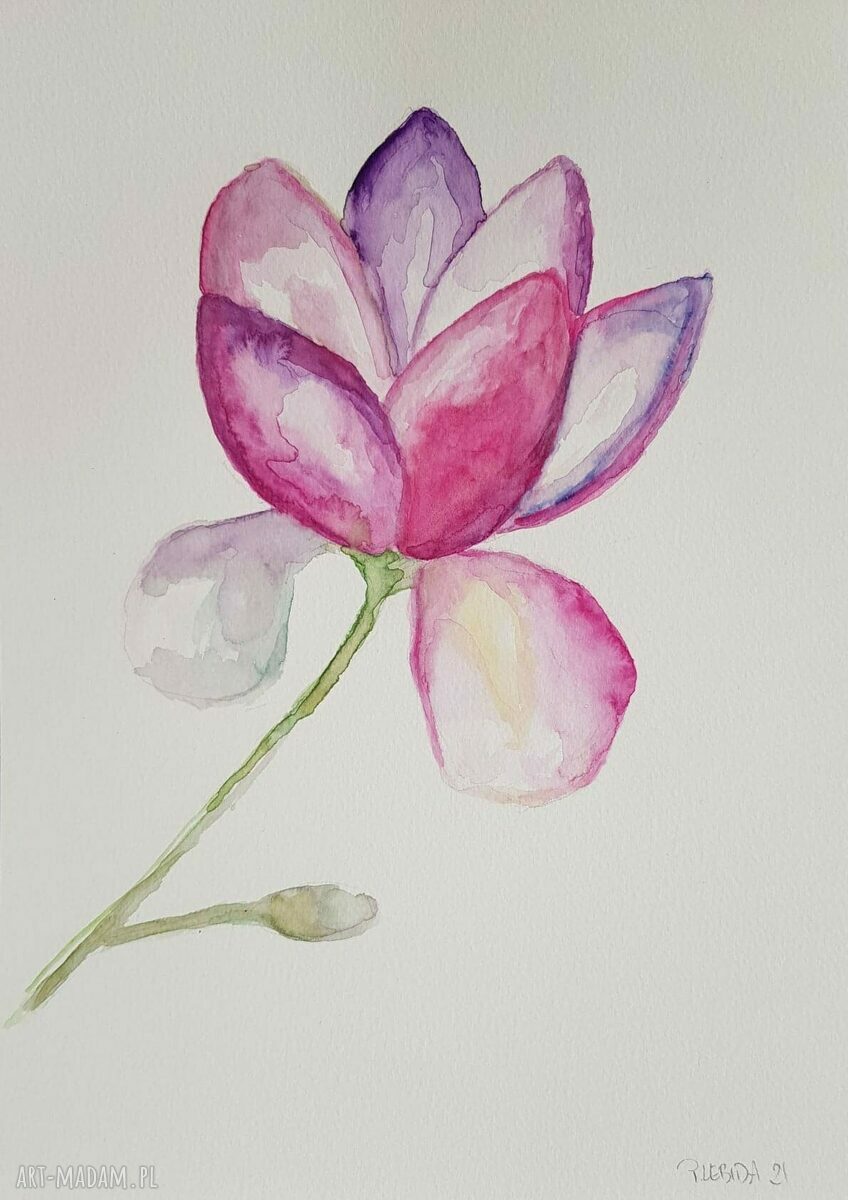 Akwarela Magnolia A4 - kwiaty w delikatnych barwach