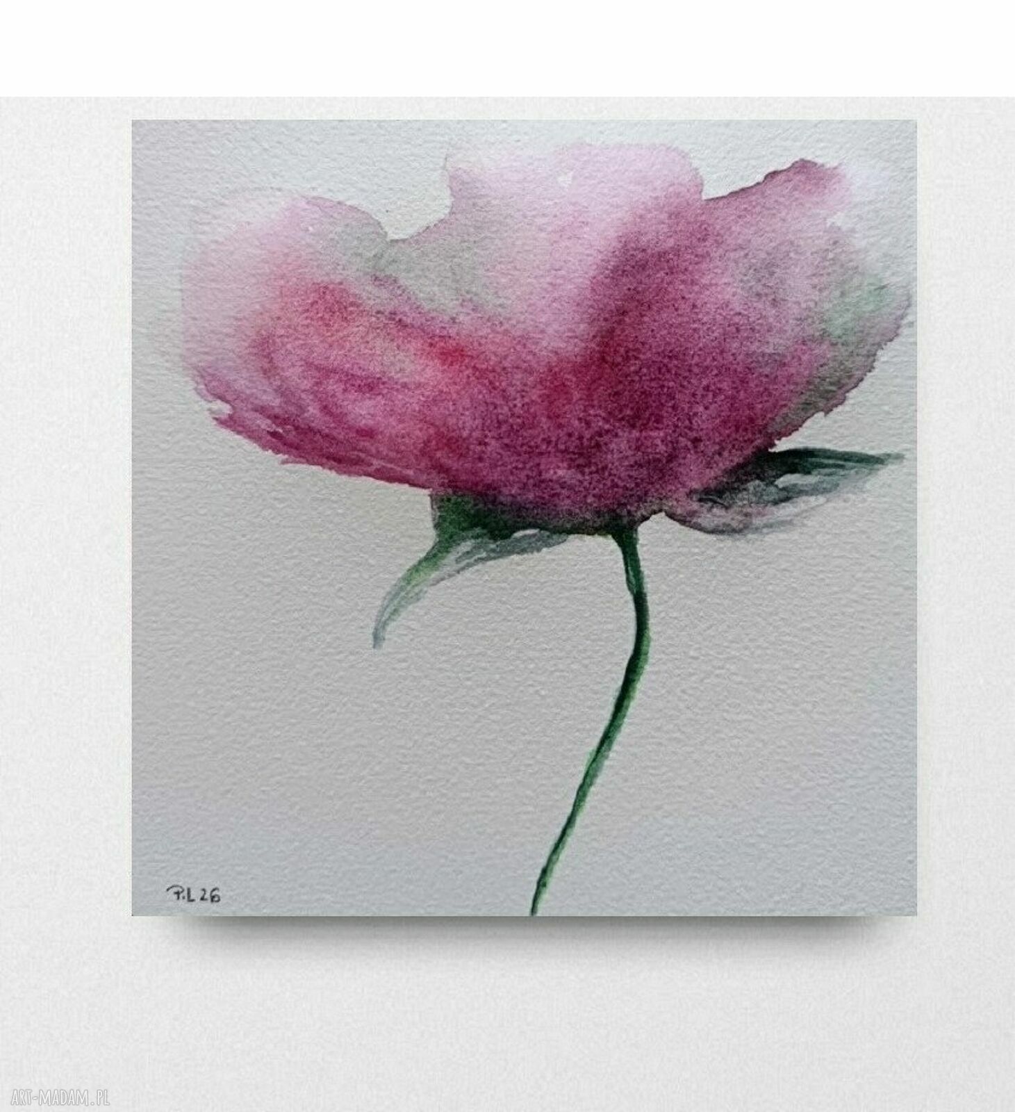 Mak-akwarela 15x15 cm - oryginalny obraz „MAK” na papierze bez ramy