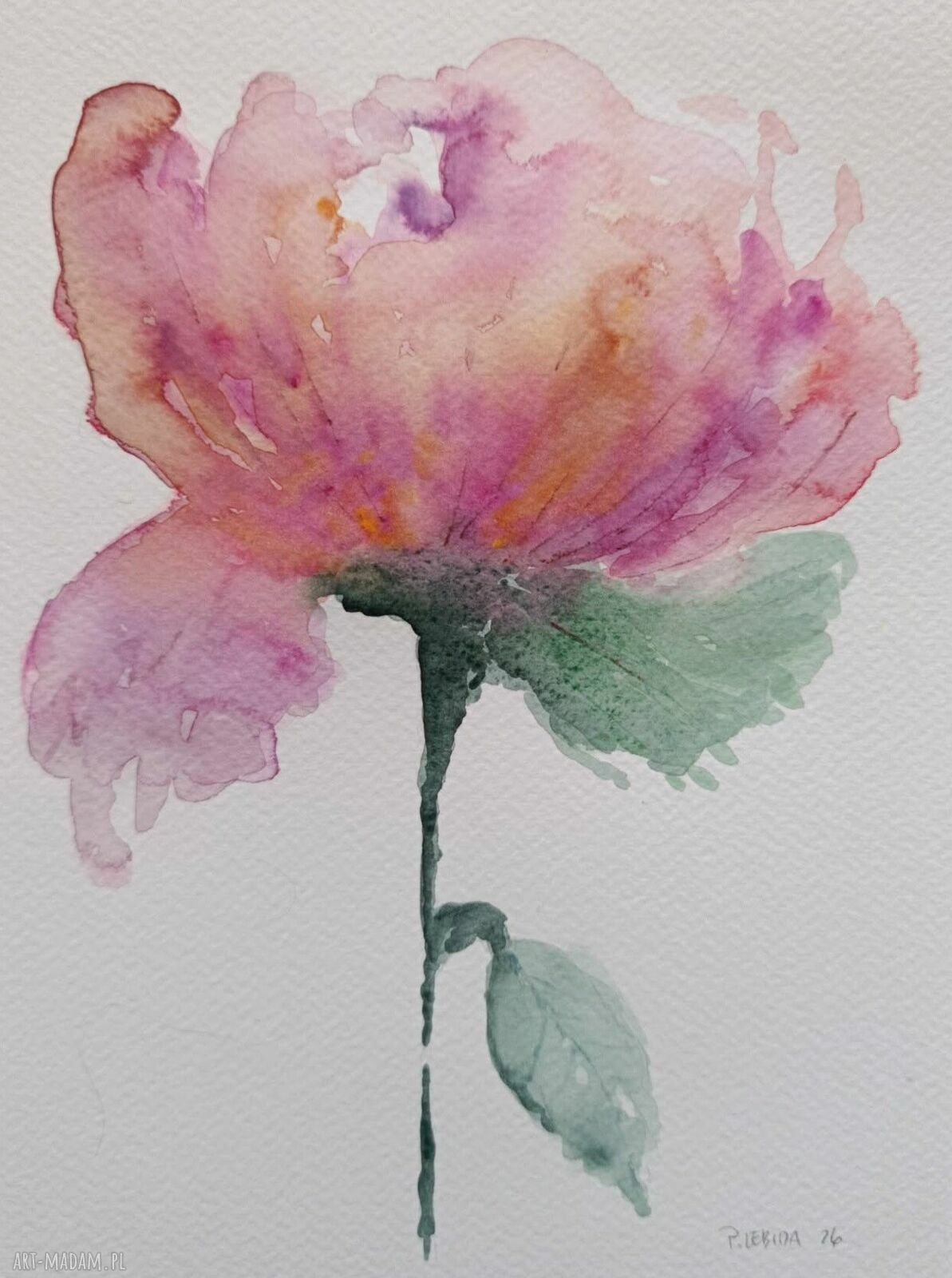 MAK - oryginalna akwarela 24 x 18 cm Paulina Lebida (bez ramy)