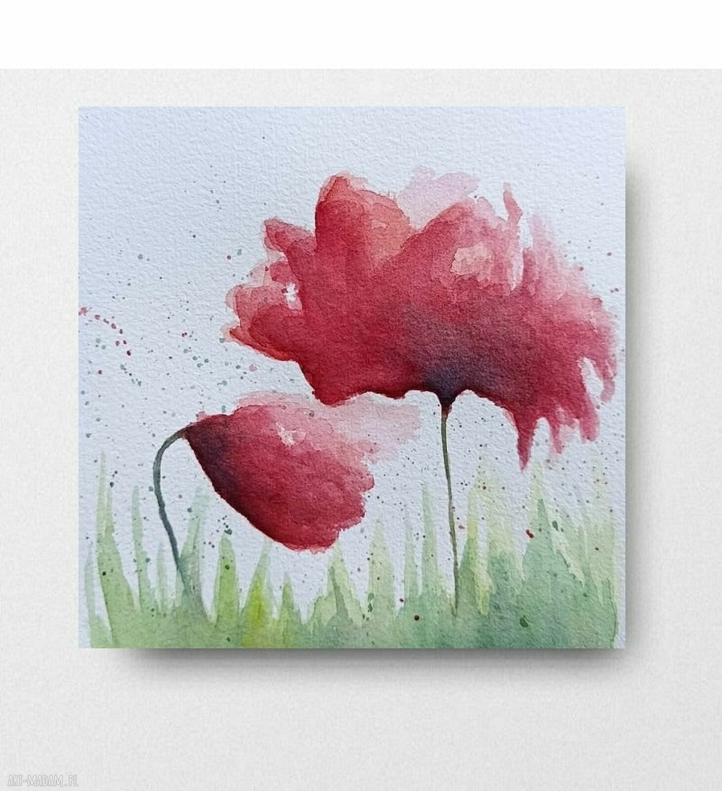 Oryginalna akwarela „Maki” 20x20 cm - sygnowana