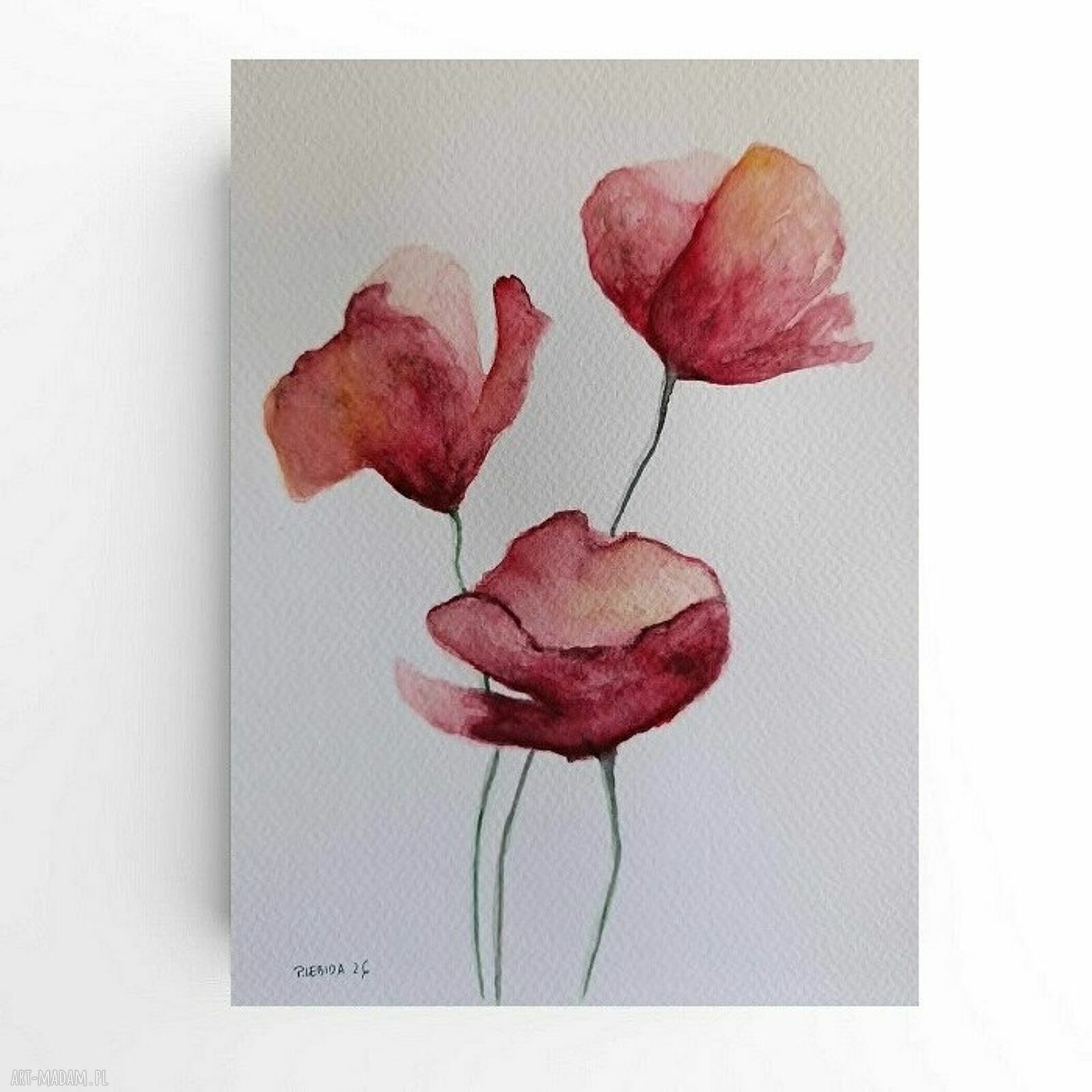 MAKI - akwarela formatu 24x18 cm