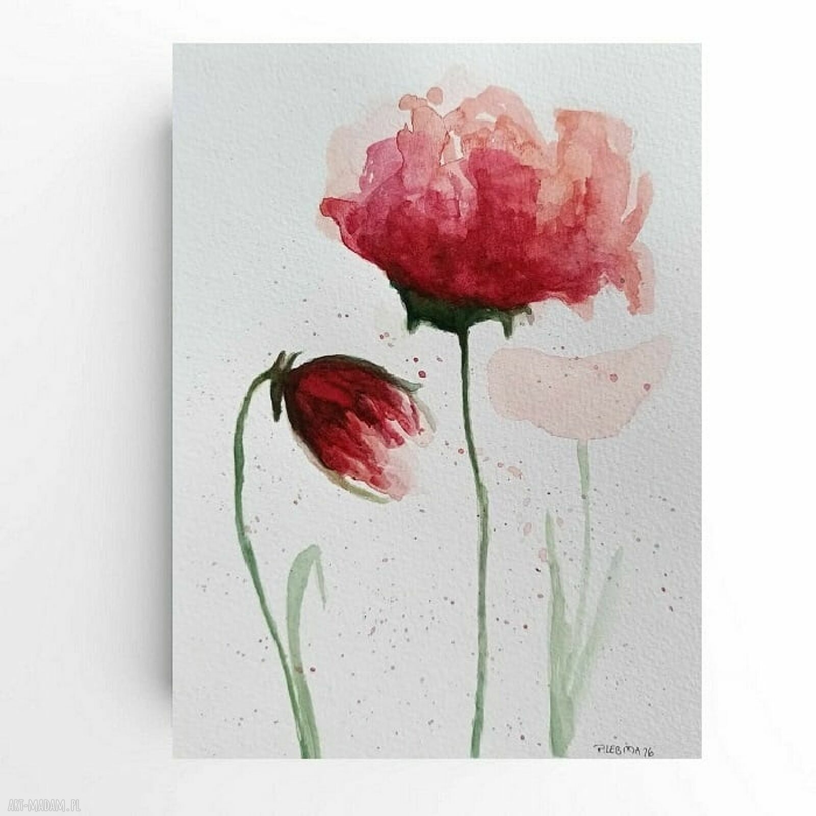 Maki - oryginalna akwarela na papierze 25x18 cm