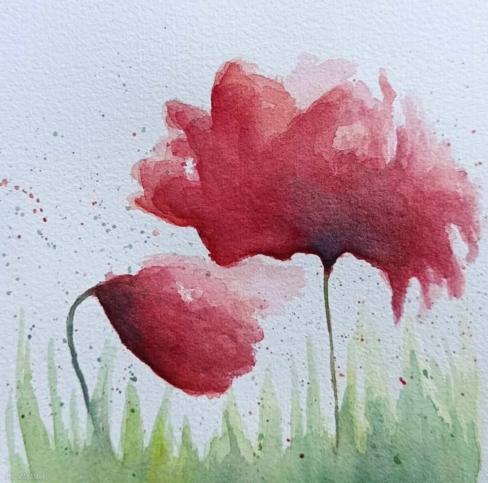 Oryginalna akwarela „Maki” 20x20 cm - sygnowana