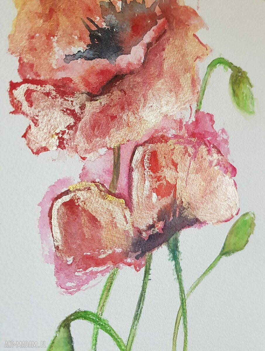 Maki - akwarela w formacie A4