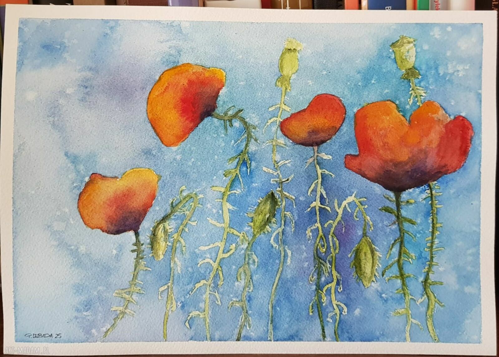 MAKI - ręcznie robiona akwarela w formacie A4 (prezent)