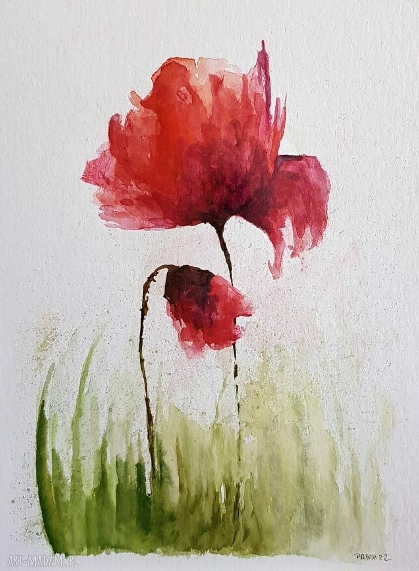 Maki - akwarela 24/32 cm na grubym papierze akwarelowym (bez ramy)