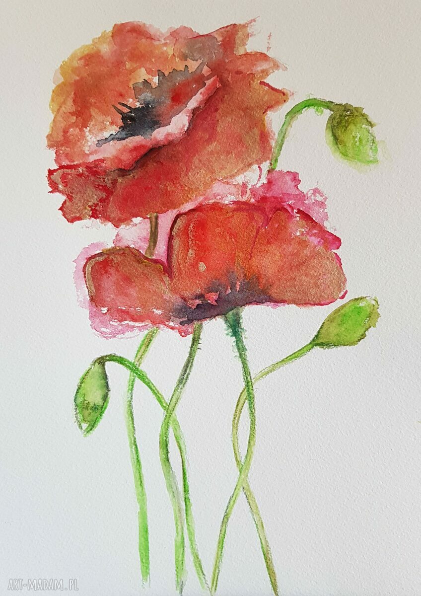 Maki - akwarela w formacie A4