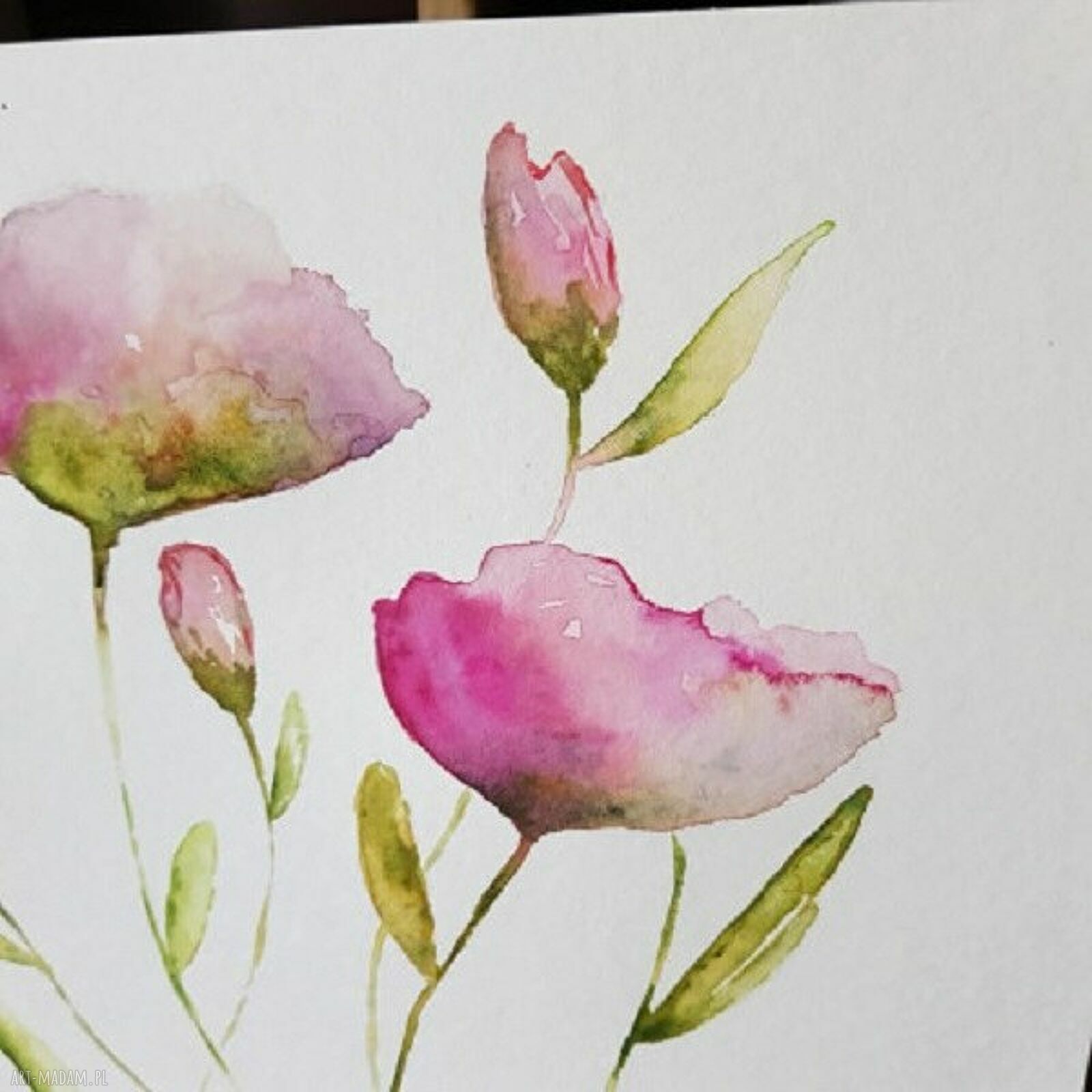 Maki - akwarela 24x32 cm, sygnowana na papierze akwarelowym 425 g/m2