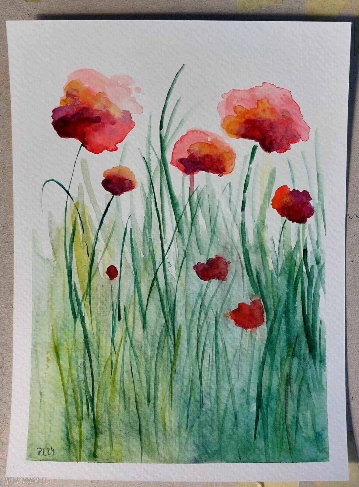 Maki na łące - akwarela 18x13,5 cm