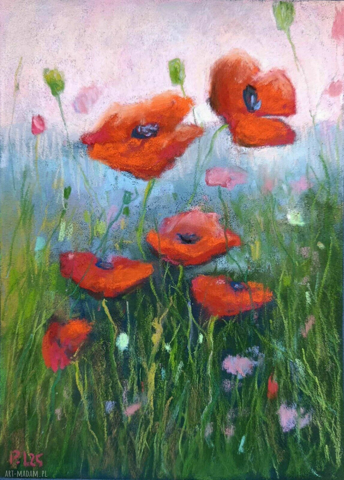 Makowa Łąka - oryginalny rysunek pastelami suchymi 24x18 cm