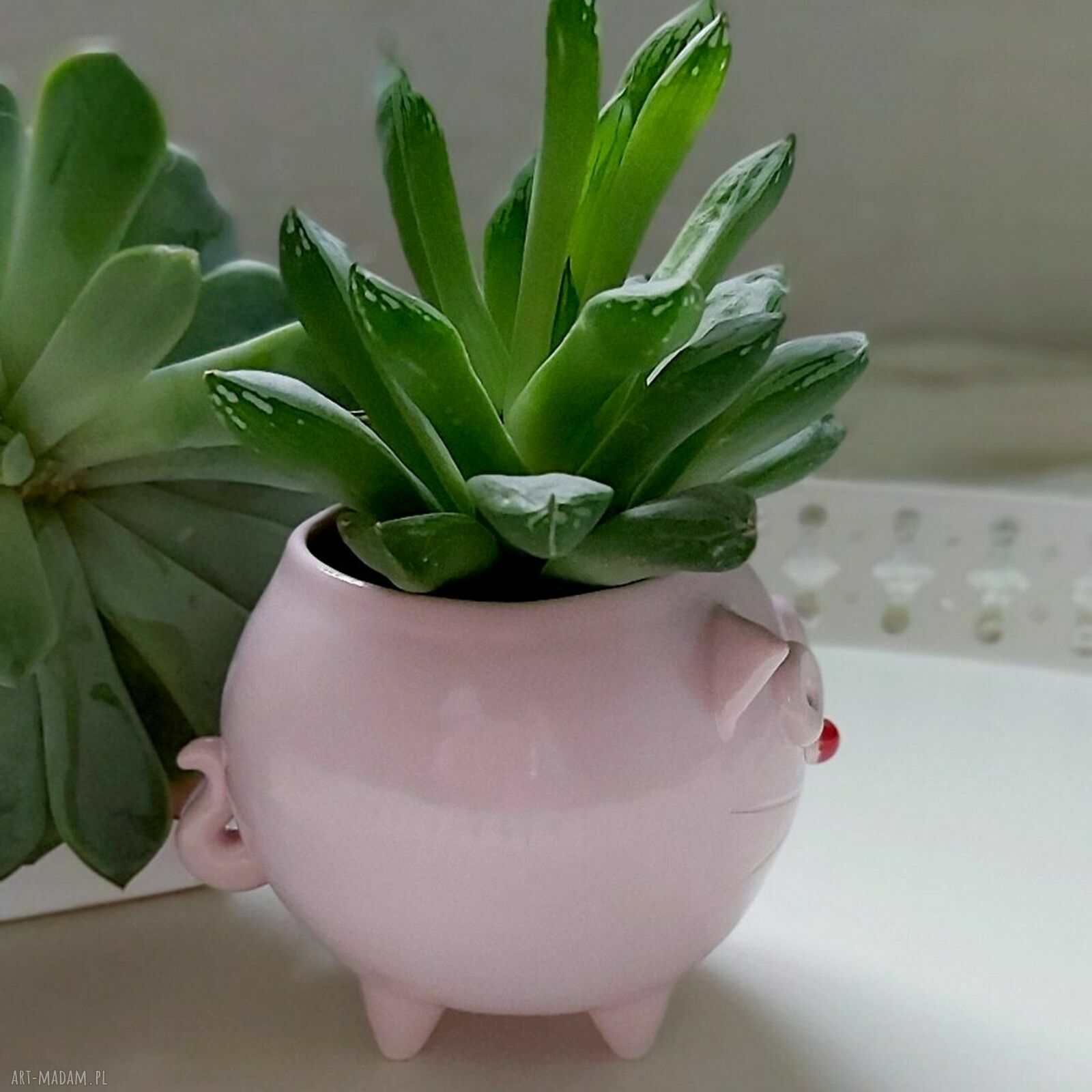 Mała różowa doniczka ceramiczna w kształcie kota Kiziora - Lamabo Ceramics